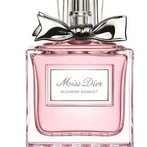 dior bouquet perfume|Christian Dior Miss Dior Blooming Bouquet Eau De Toilette Spray。